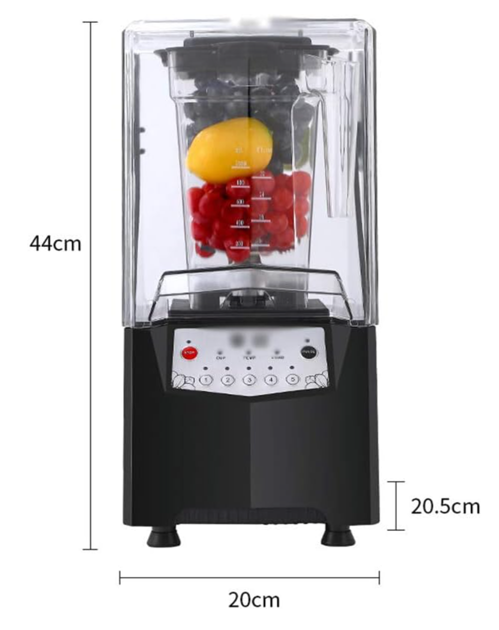 Automatic Juicer