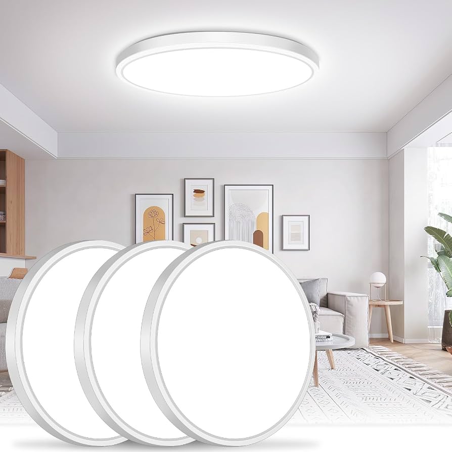 Flush Mount Ceiling Light
