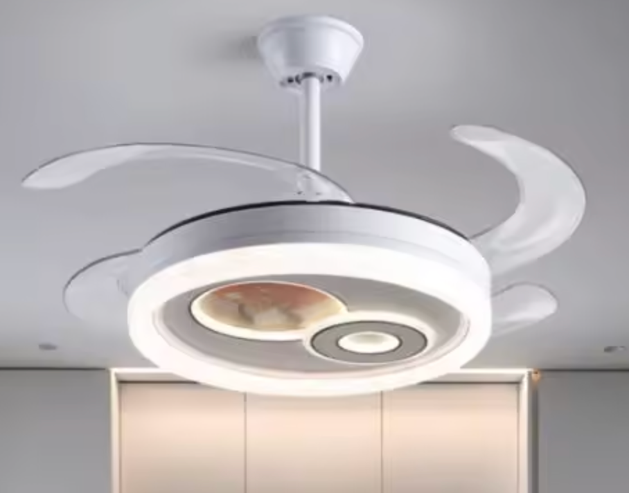 Ceiling Fan with Light