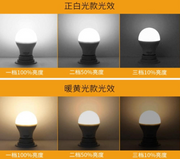 E27 LED Bulb