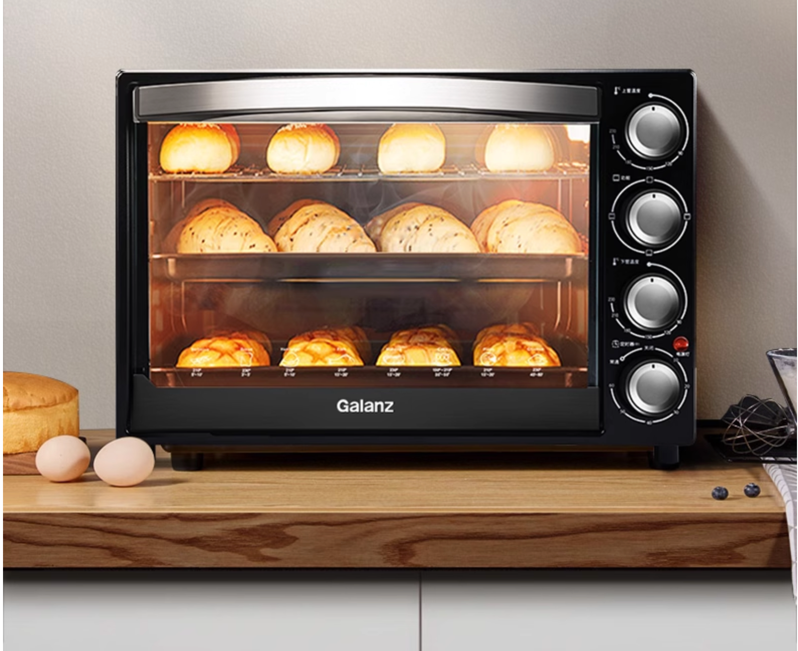 Electric Oven
