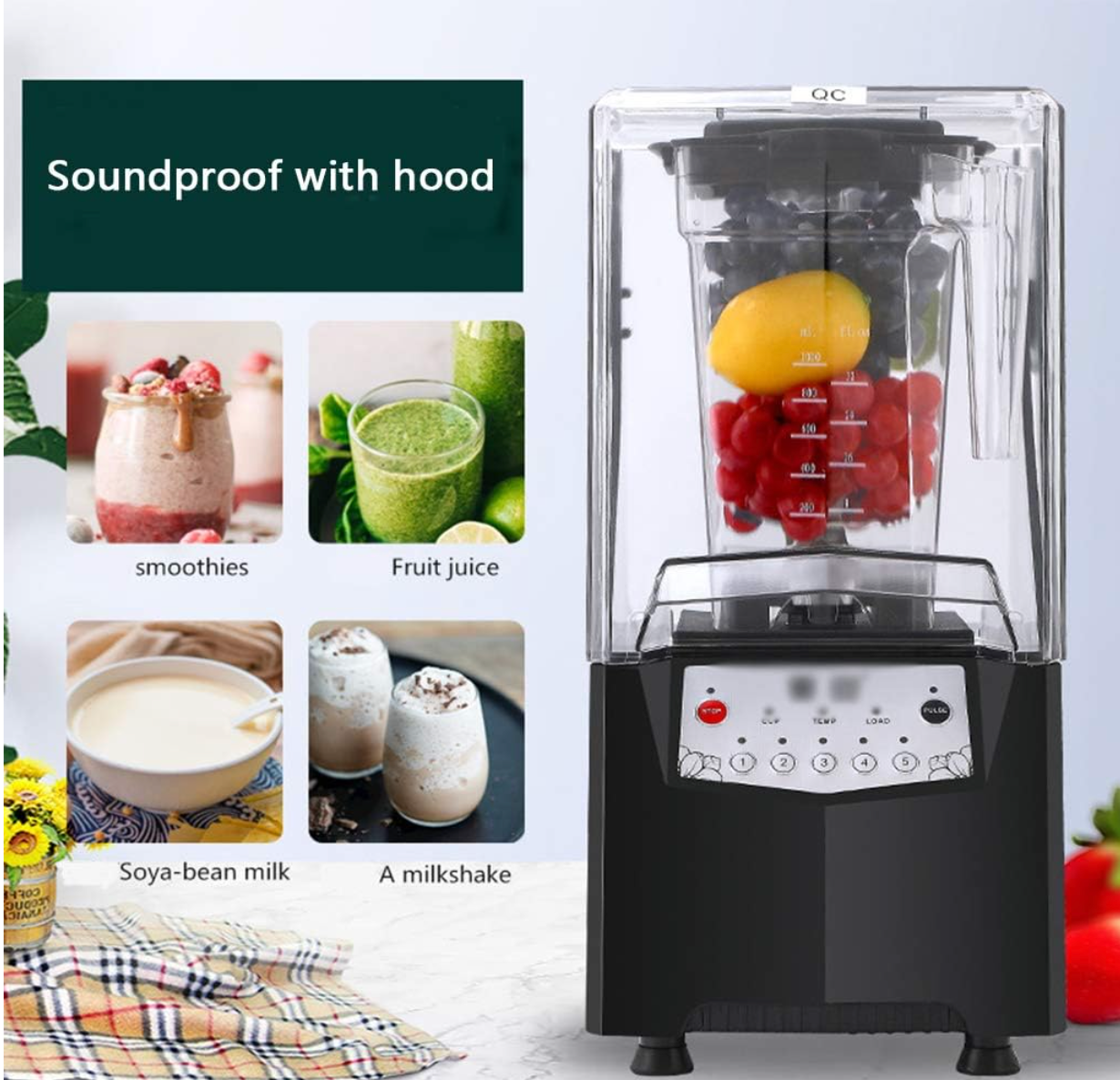 High Power Juicer