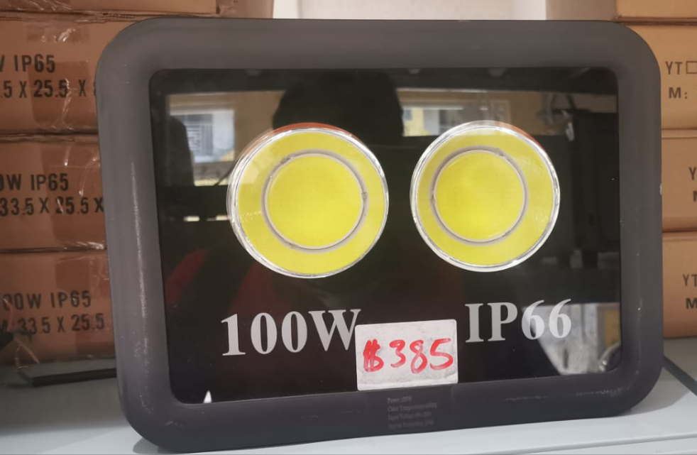 20W-100 watts Flood Light