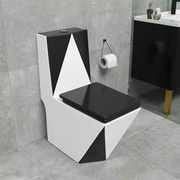 Luxury Toilet
