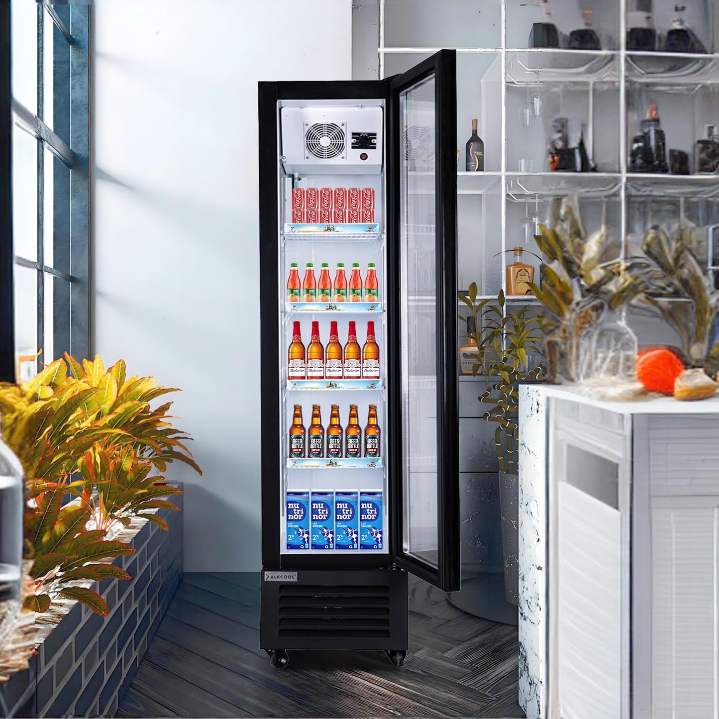 Single Door Drink Display Fridge