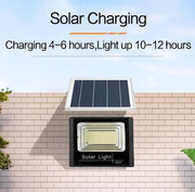 Solar Powered Light