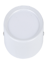 Surface Mounted Downlight