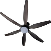 Fan Lights