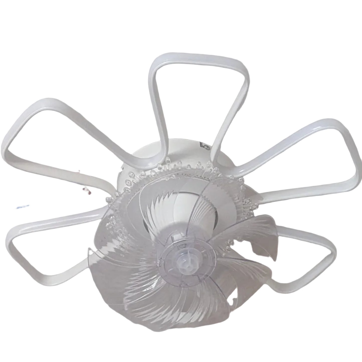 Fan Lights