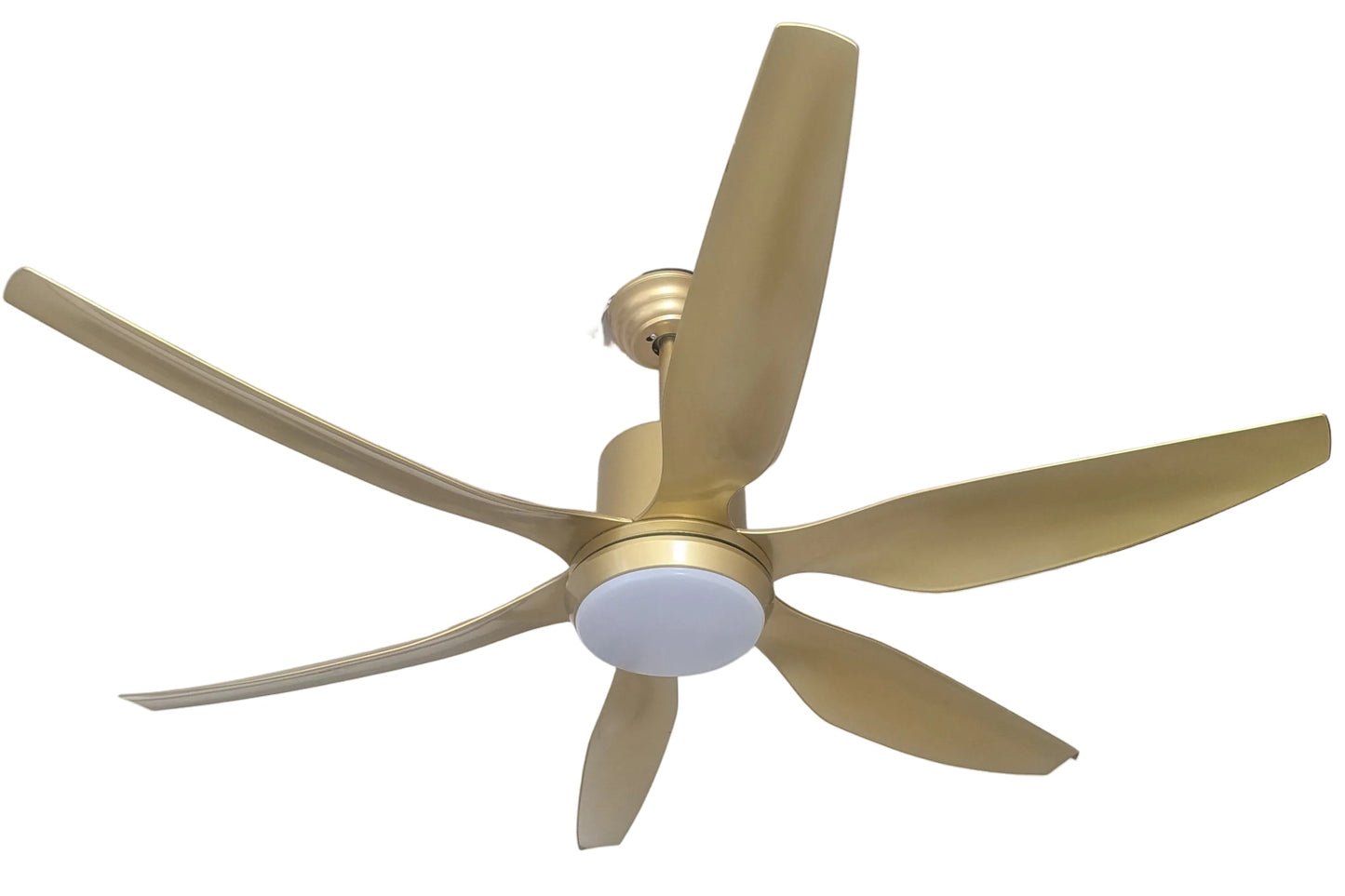 Fan Lights